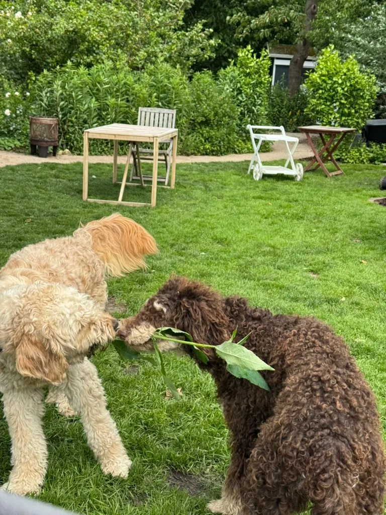 Emma spielt im Garten mit einem Zweig
